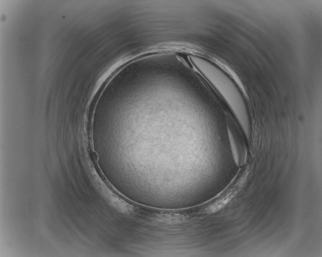 X0000083611091200702201243