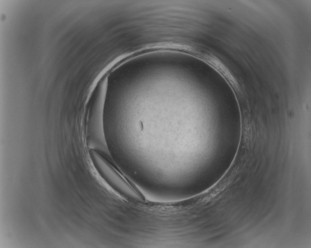 X0000083611092200702201243