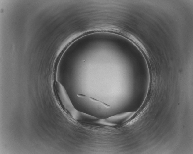 X0000083611093200702201243