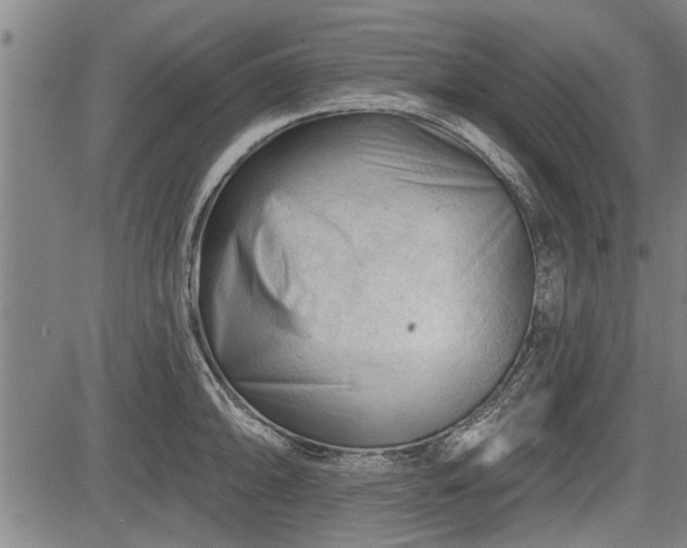 X0000083611094200702201243