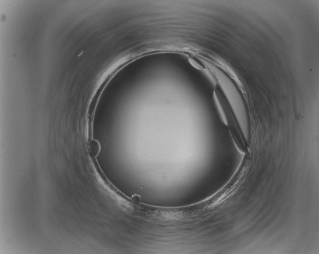 X0000083611095200702201243