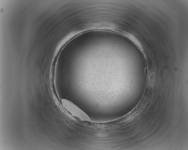 X0000083611096200702201243