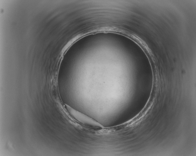 X0000083611097200702201243