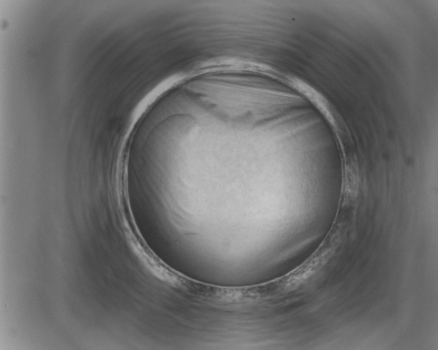 X0000083611098200702201243