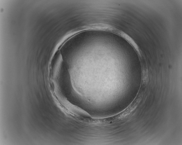 X0000083611099200702201243