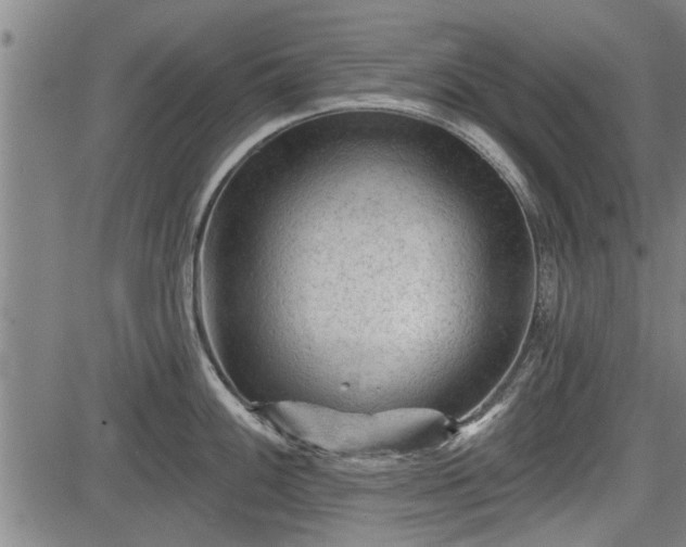 X0000083611100200702201243