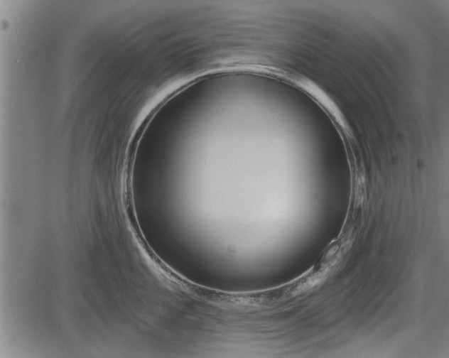 X0000083611101200702201243