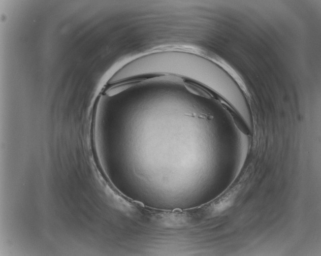 X0000083611102200702201243