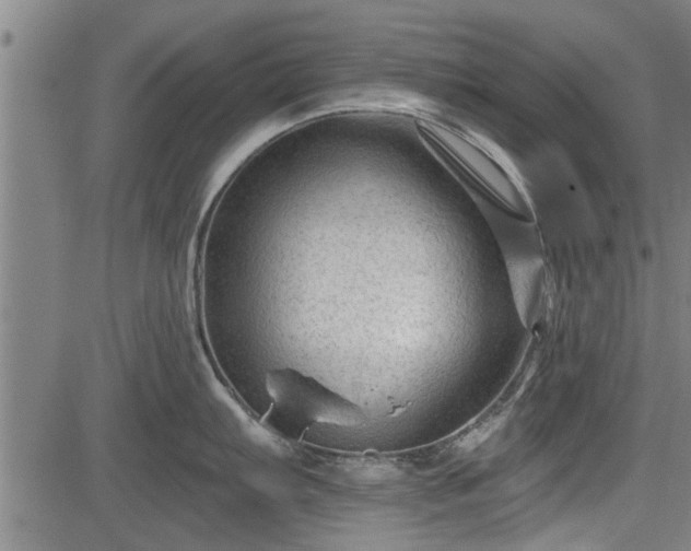 X0000083611103200702201243