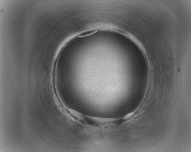 X0000083611104200702201243