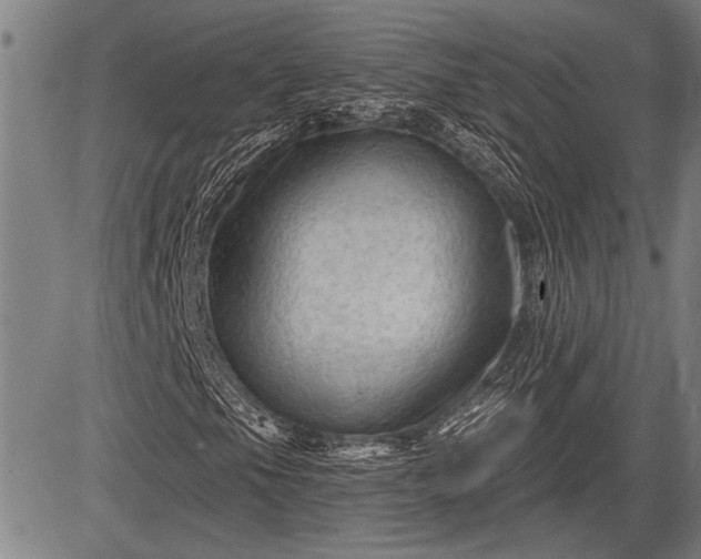 X0000083611105200702201242