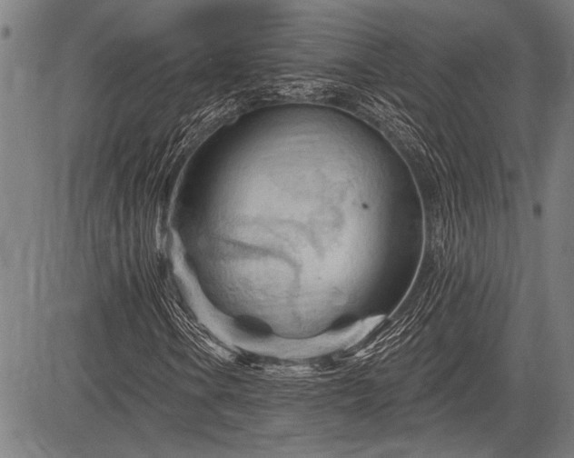 X0000083611106200702201242