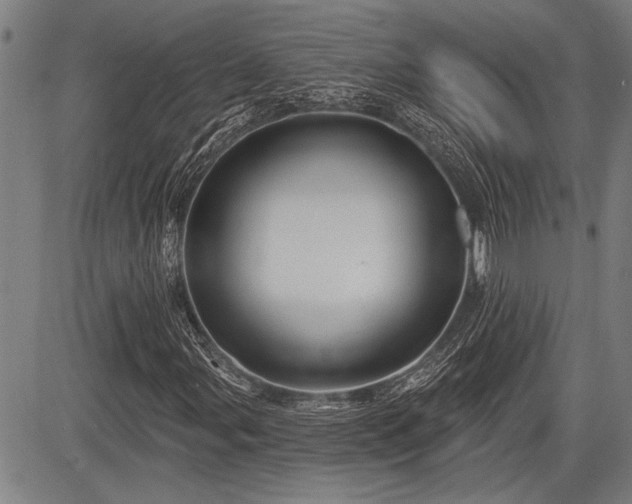 X0000083611107200702201242