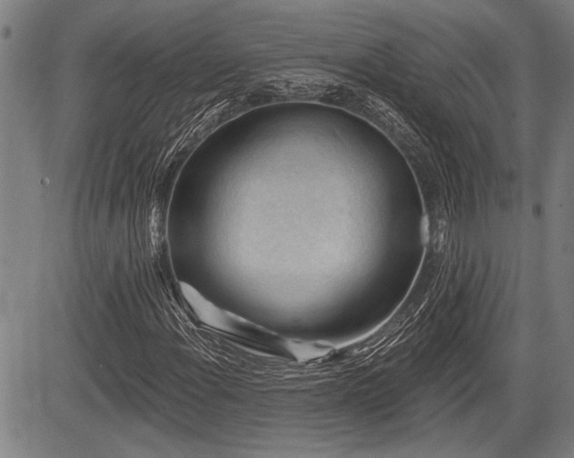 X0000083611108200702201242