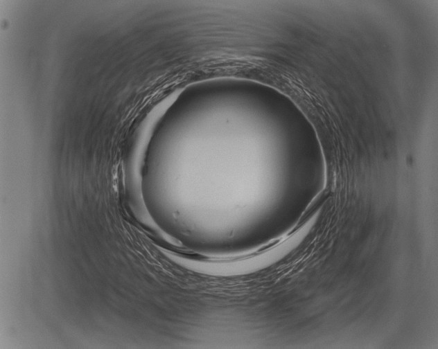 X0000083611109200702201242