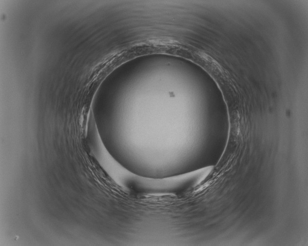 X0000083611110200702201242