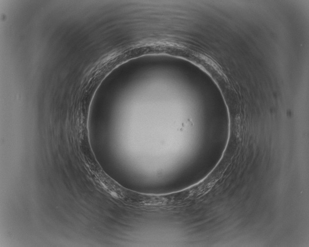 X0000083611111200702201242