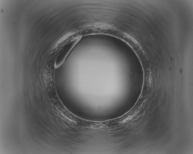 X0000083611112200702201242