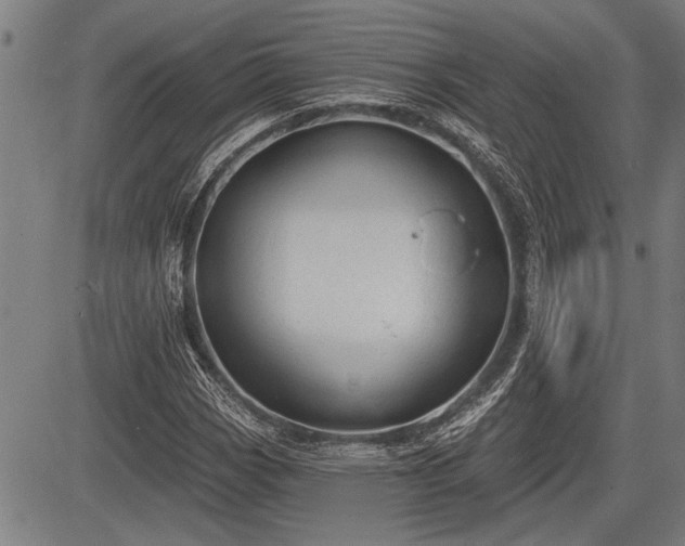 X0000083611113200702201242