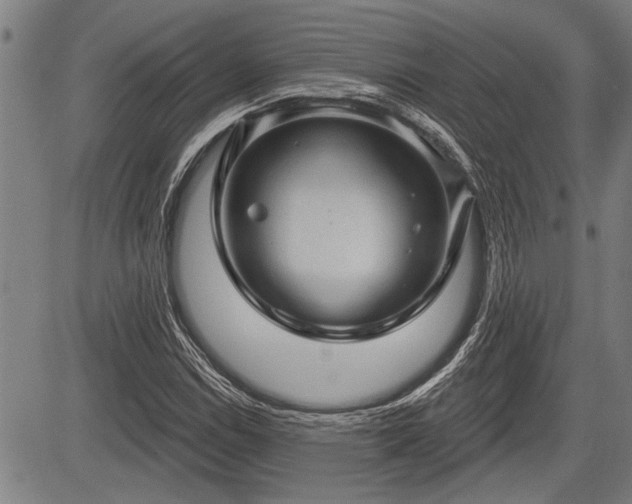 X0000083611114200702201242