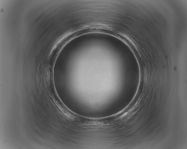 X0000083611115200702201242