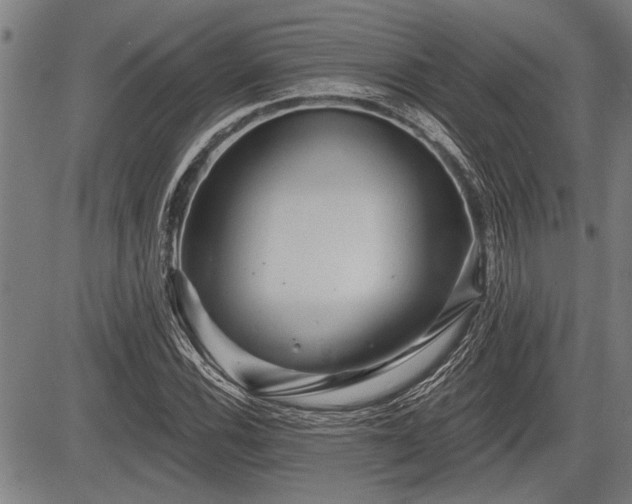 X0000083611116200702201242