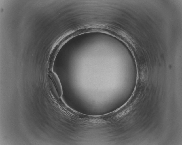 X0000083611117200702201242