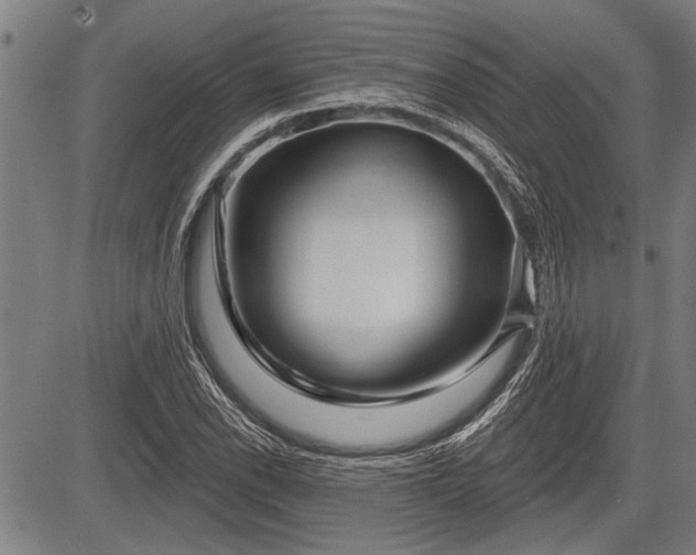 X0000083611118200702201242