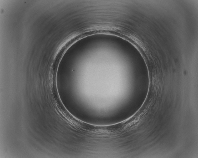 X0000083611119200702201242