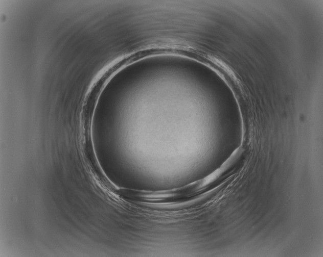 X0000083611120200702201242