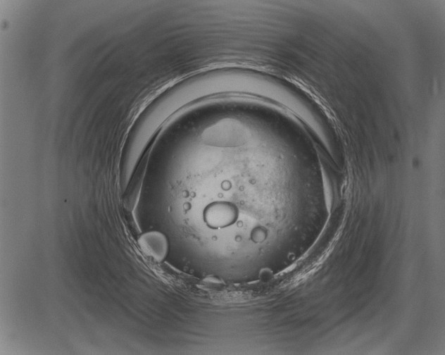 X0000083611121200702201242