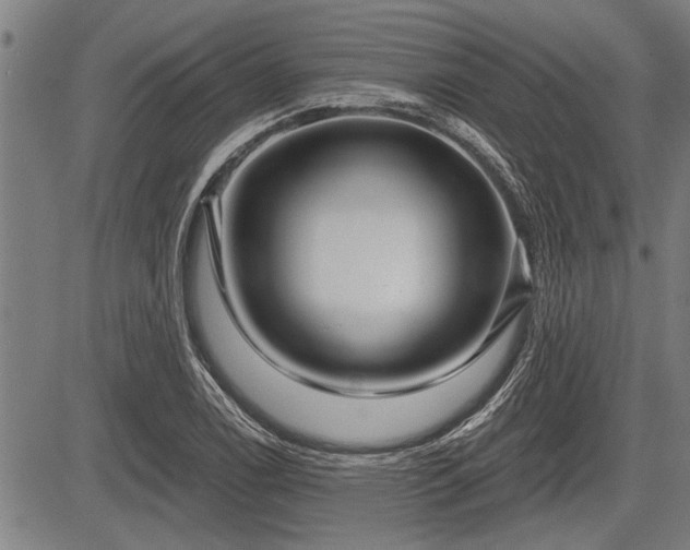 X0000083611122200702201242