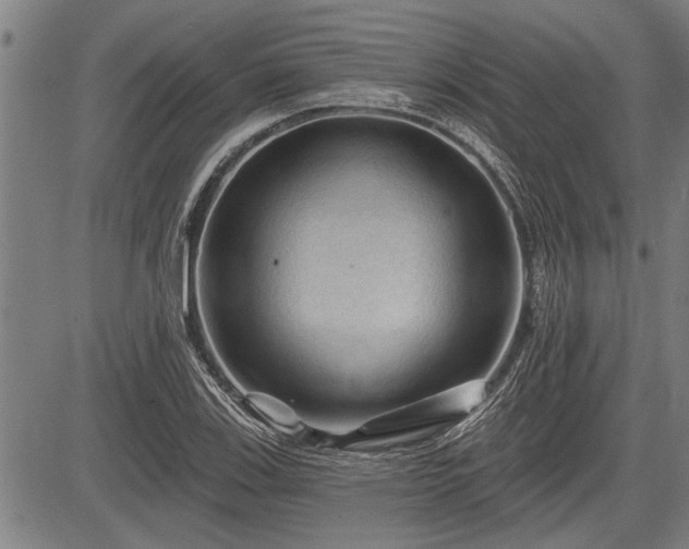 X0000083611123200702201242