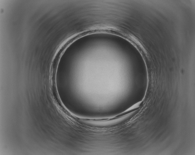 X0000083611124200702201242