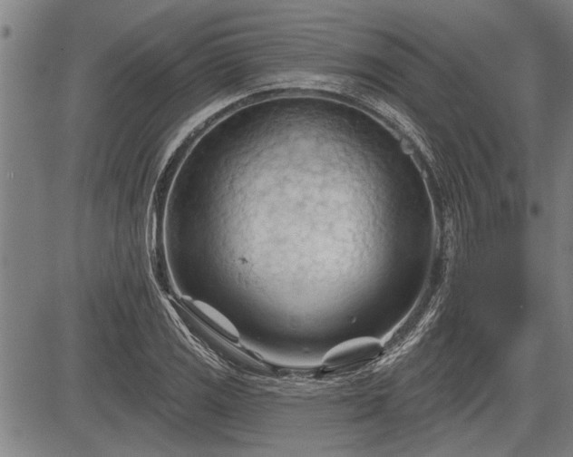 X0000083611125200702201242