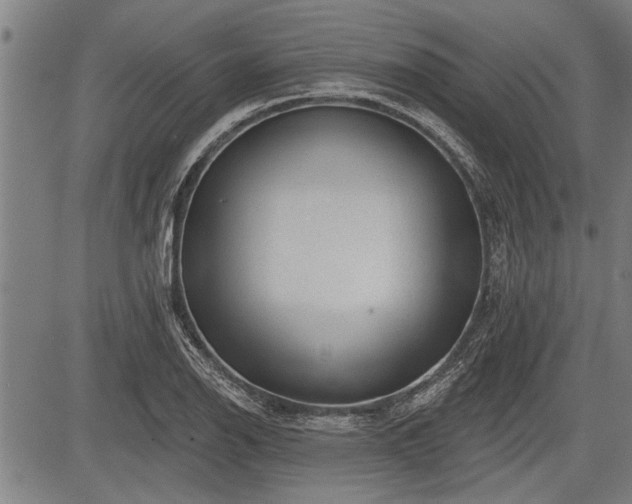 X0000083611126200702201243