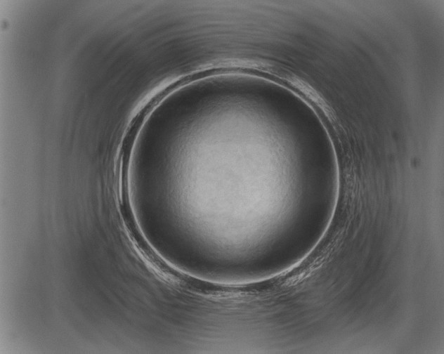 X0000083611127200702201243