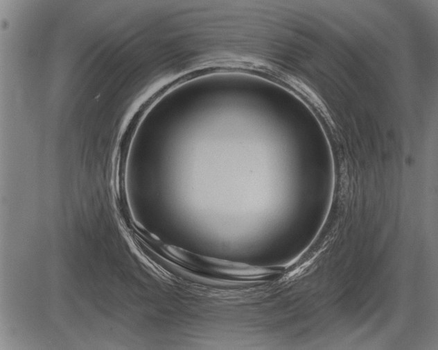 X0000083611128200702201243