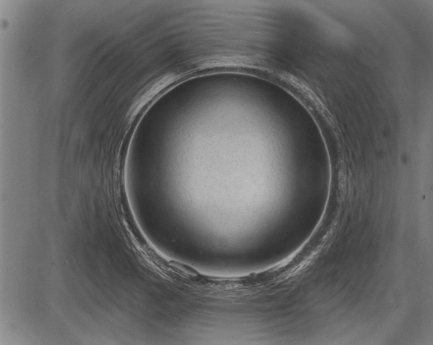 X0000083611129200702201243