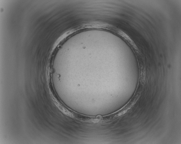 X0000083611130200702201243