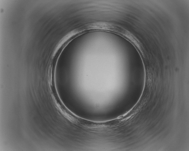 X0000083611131200702201243