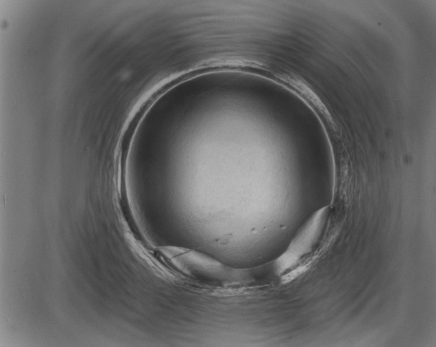 X0000083611132200702201243