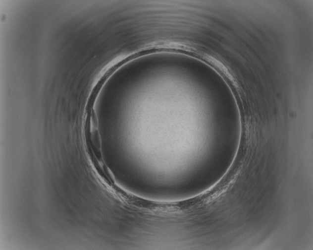 X0000083611133200702201243