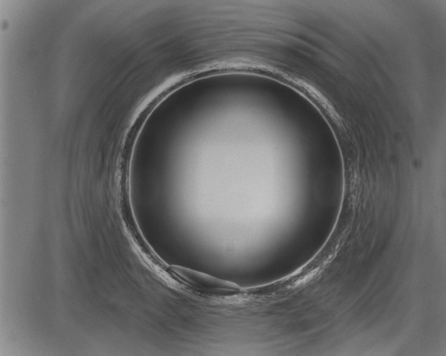 X0000083611134200702201243