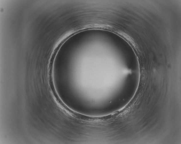 X0000083611135200702201243