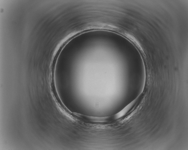 X0000083611136200702201243