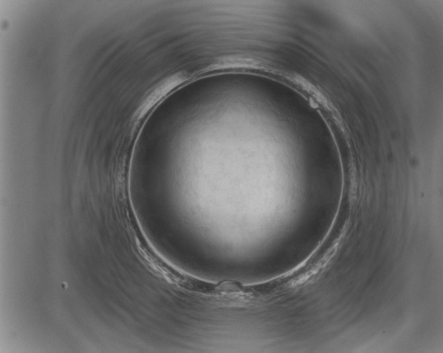 X0000083611137200702201243