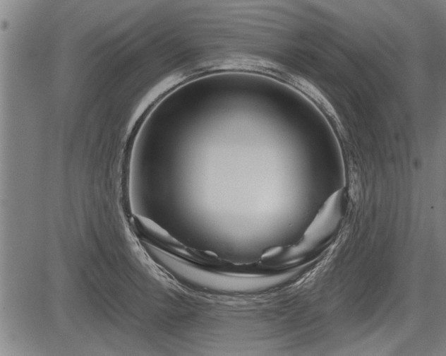 X0000083611138200702201243