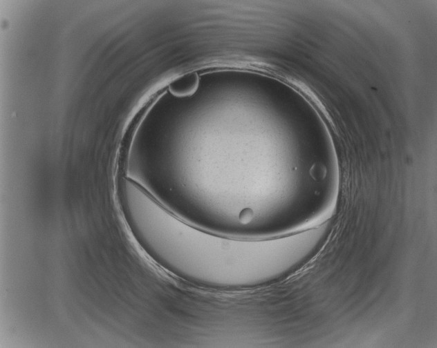 X0000083611139200702201243