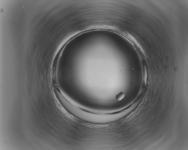 X0000083611140200702201243